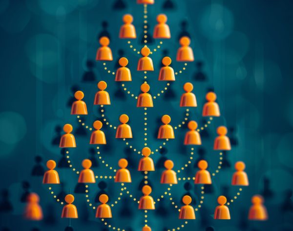 tree-with-many-people-middle-it